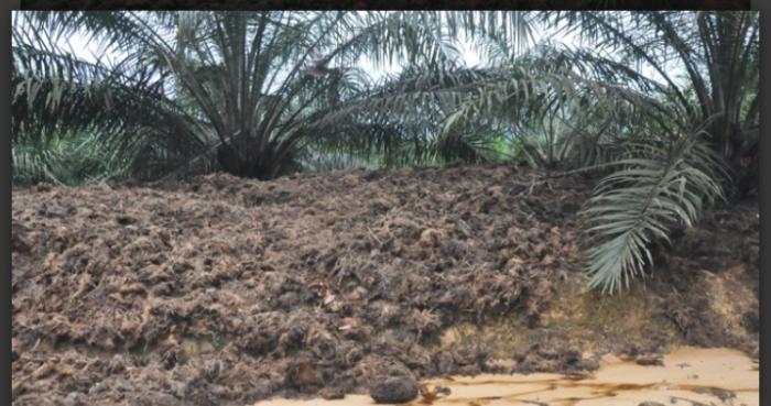 Tak Pernah Dihitung, Tankos dan Abu Janjang Hak Petani