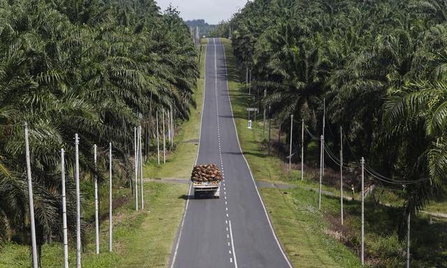 Jumpa BPDPKS, Sekdaprov Riau Minta Ini