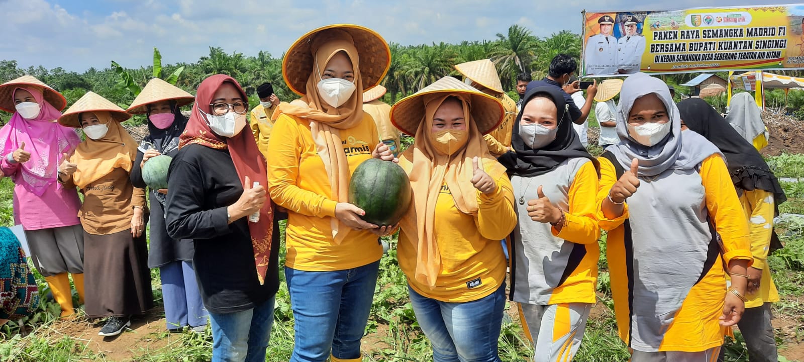 Pertanian Menjadi Sektor Ekonomi yang Menjanjikan