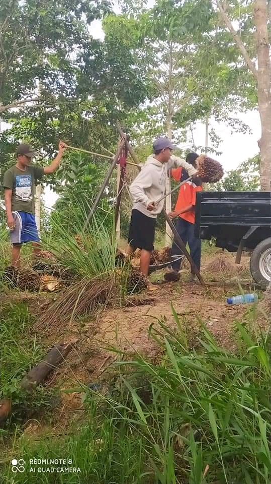 Petani Bilang Pupuk Bukan Naik, Tapi Ganti Harga