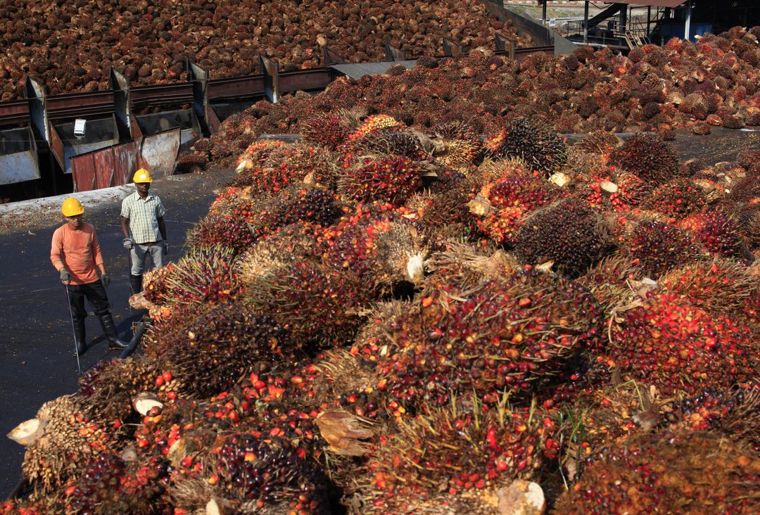 Upaya Menjadikan Tanjung Buton Terminal CPO Dimulai