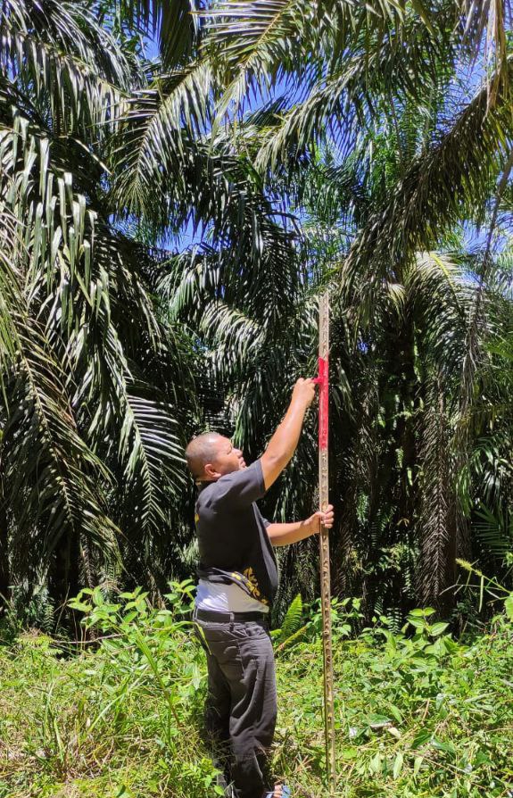 Geram Tak Ada Itikad Baik, Warga Patok Kebun Sawit PT AIP