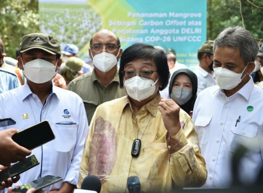 Aplikasi PMN Jaga Konservasi Ekosistem Mangrove