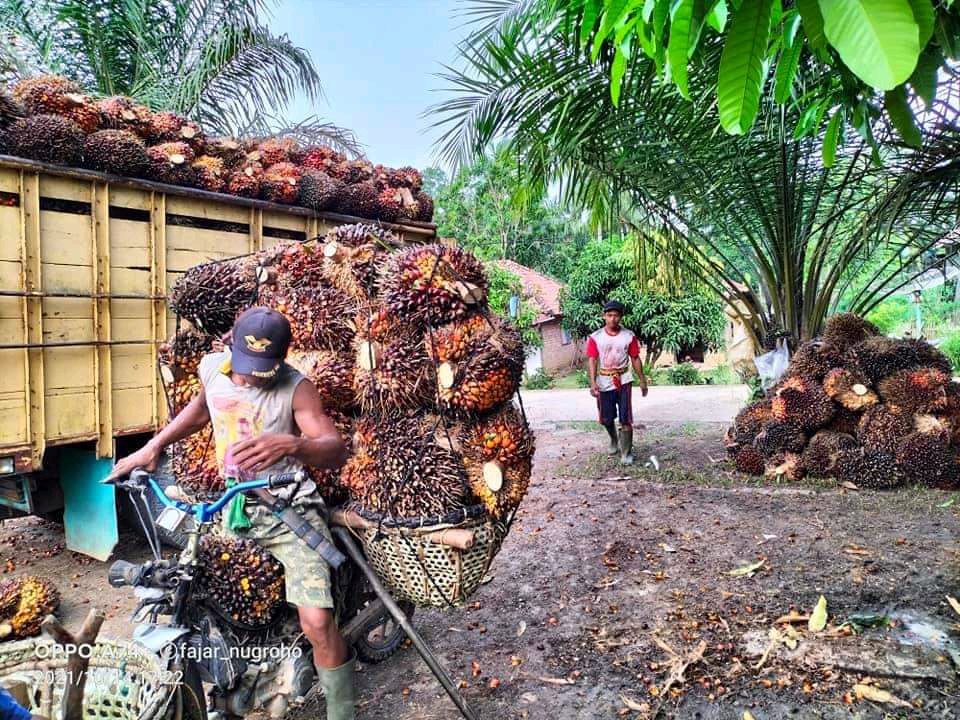 Ram Lebih Disukai Petani Ketimbang PKS