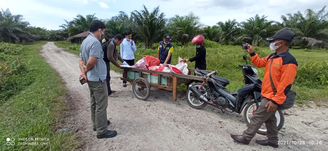 Sampel Sawit Petani Bengkalis Dikumpulkan untuk Uji Rendemen