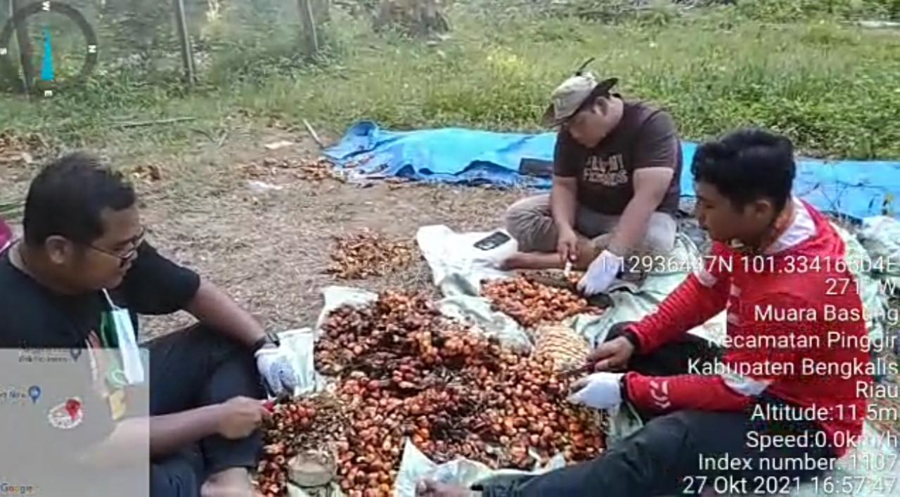 Banyak Petani Tawarkan Diri Jadi Sukarelawan Uji Rendemen