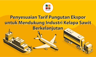 Bulan Depan Harga TBS Bisa Turun Kalau Pemerintah Jadi Lakukan ini