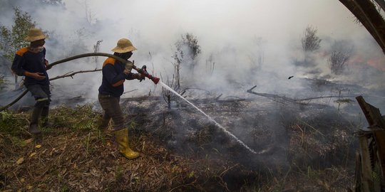 Ini Sederet Negara yang Masih Gemar Menggunduli Hutan