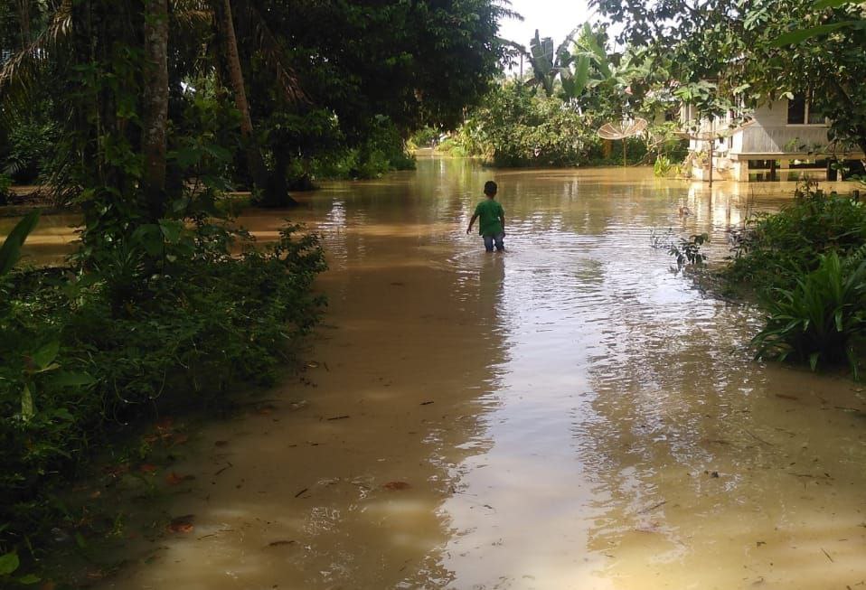 Luapan Sungai Indragiri Bikin Pekarangan Rumah Warga Kayak Gini