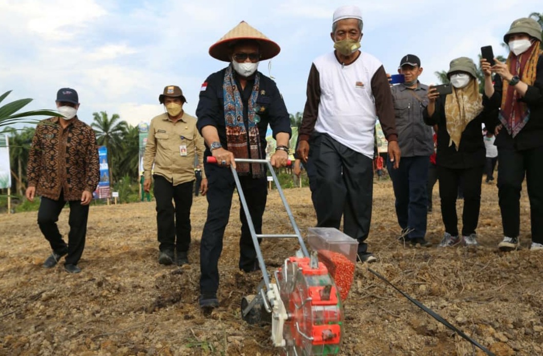 Mentan Syahrul: PSR Kudu Diperhatikan Biar Tak Kehilangan Produktivitas