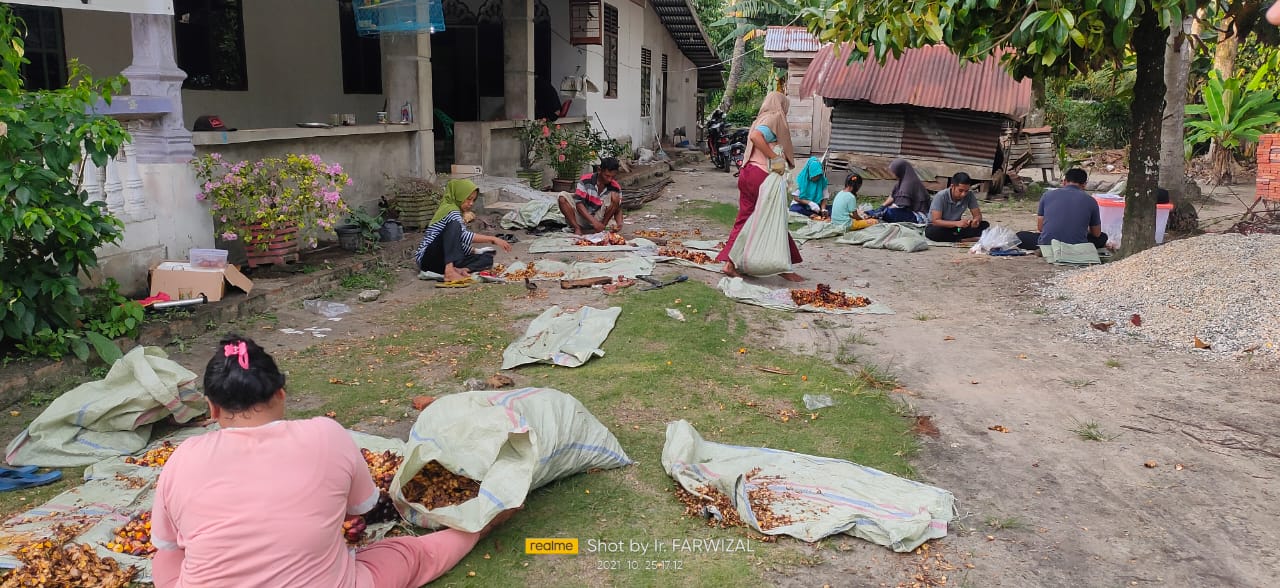 Petani Sawit Berharap Dibantu Raih ISPO