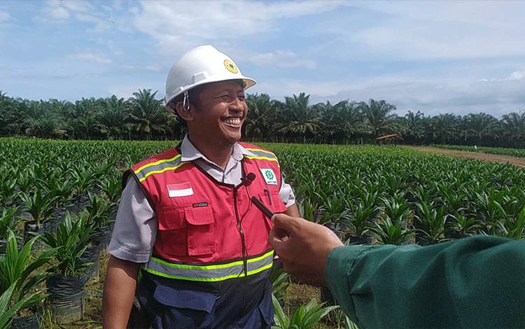 Bapak ini Tak Percaya Kelapa Sawit Dibilang Rakus Air