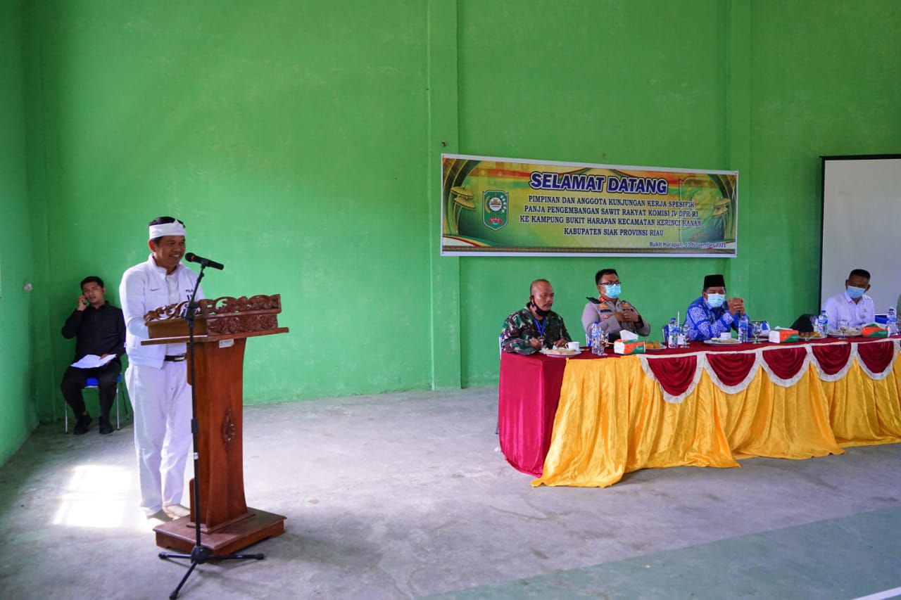 Dedi Sebut Tumpang Sari Boleh di Lahan PSR