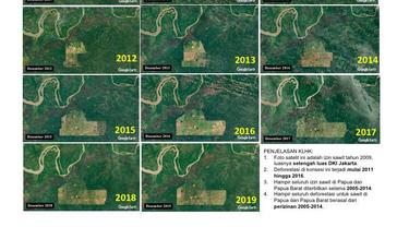 NASA Rilis Foto Deforestasi di Papua, KLHK: Itu Izin Perusahaan Sawit 2009