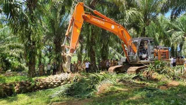 Usulan Bejibun, Tapi Realisasi Replanting Lamban