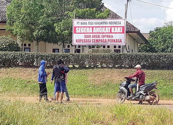 Tanami Lahan Tanpa Izin, Perusahaan Sepakat Berbagi Hasil Panen