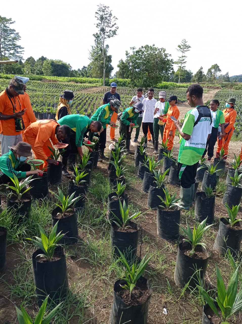 Sudah Melihat Bukti, Para Petani ini Ogah ke Lain Hati