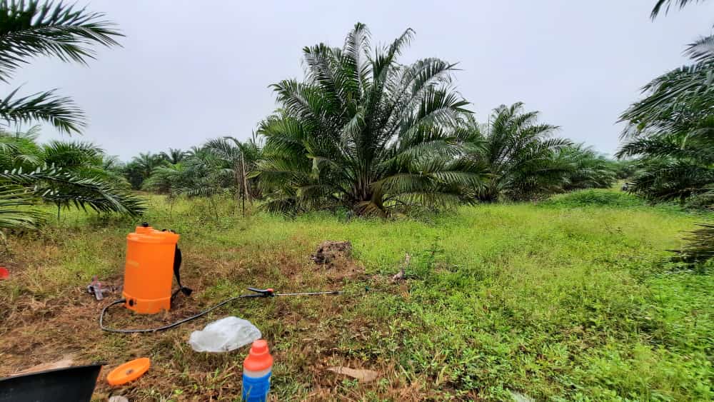 8 Jenis Bantuan Sarpras dari BPDPKS Ini Bisa Dinikmatin Petani