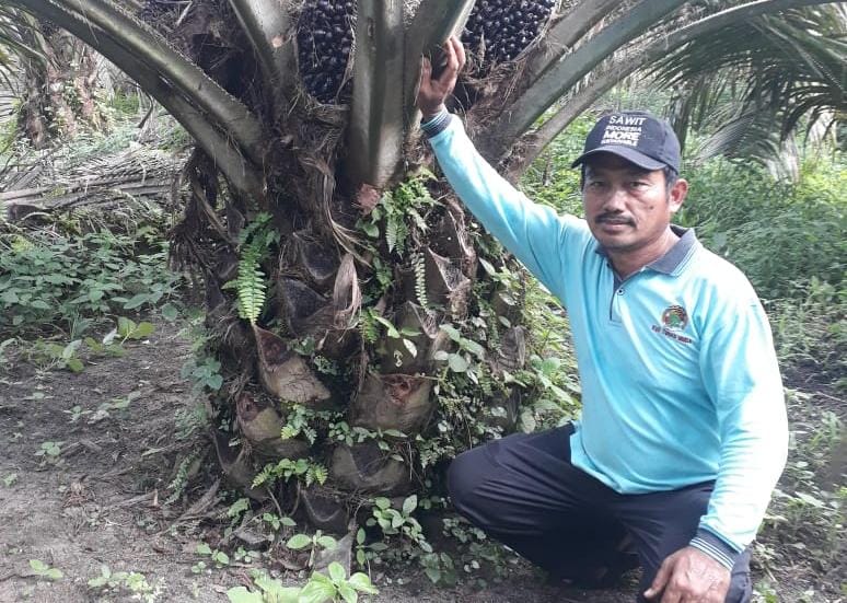 Supaya Sejahtera, Petani Musti Berlembaga dan Kelompok