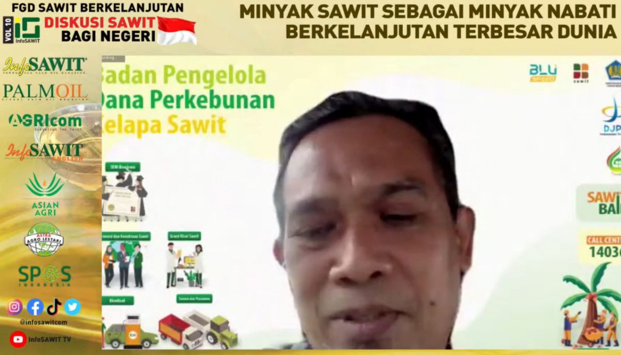 Genjot PSR, Industri Sawit Dalam Negeri Aman