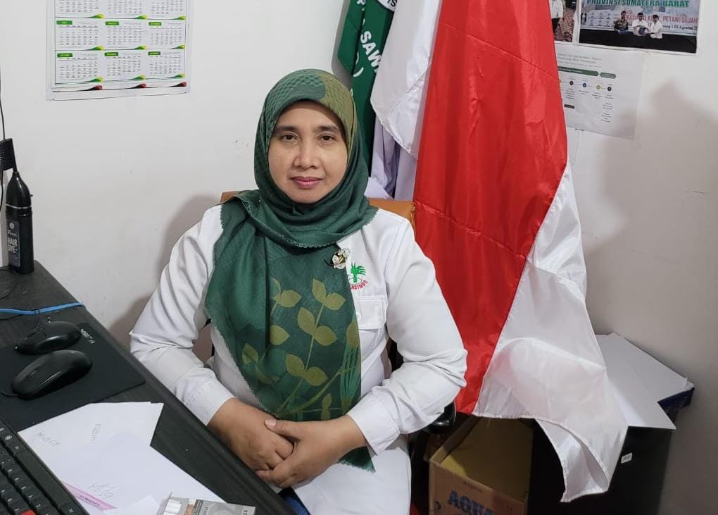 CPO Tinggi, Harga Sawit Swadaya Bisa di Atas Harga Disbun