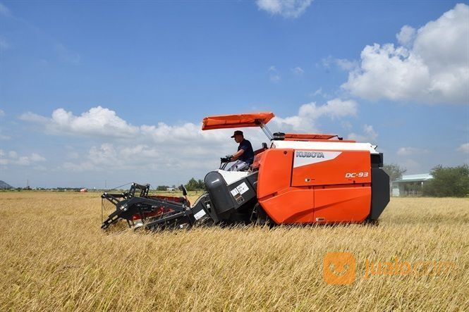 Pupus Dominasi Tengkulak, Pemuda Setempat Dilatih Kelola Hasil Panen