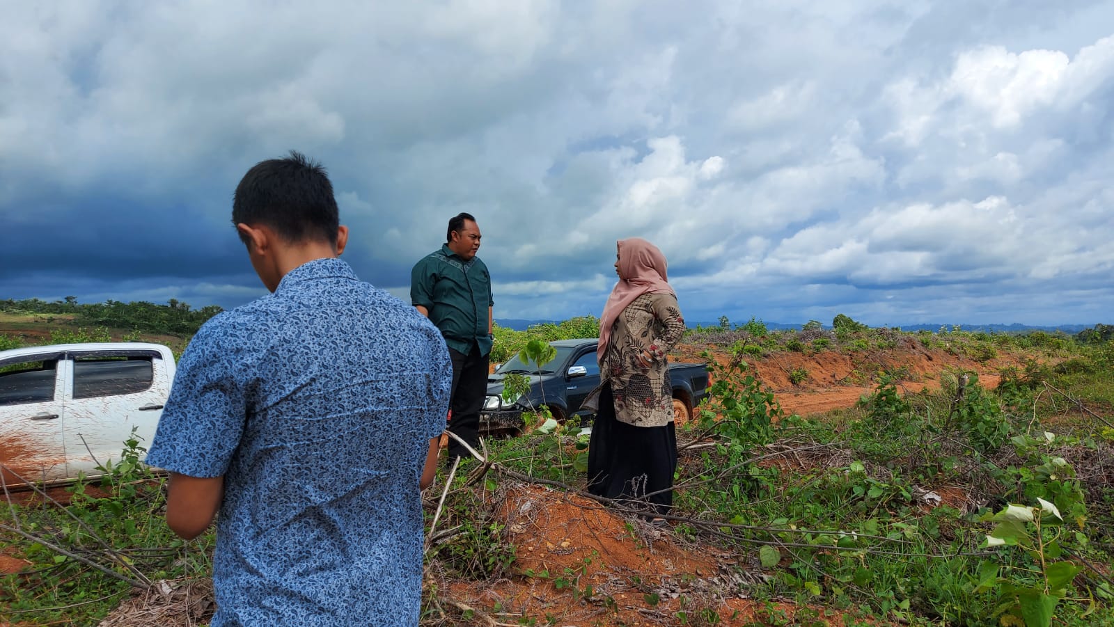 Puluhan Gajah Bergerilya, 250 Hektar Lahan PSR Tak Bersisa