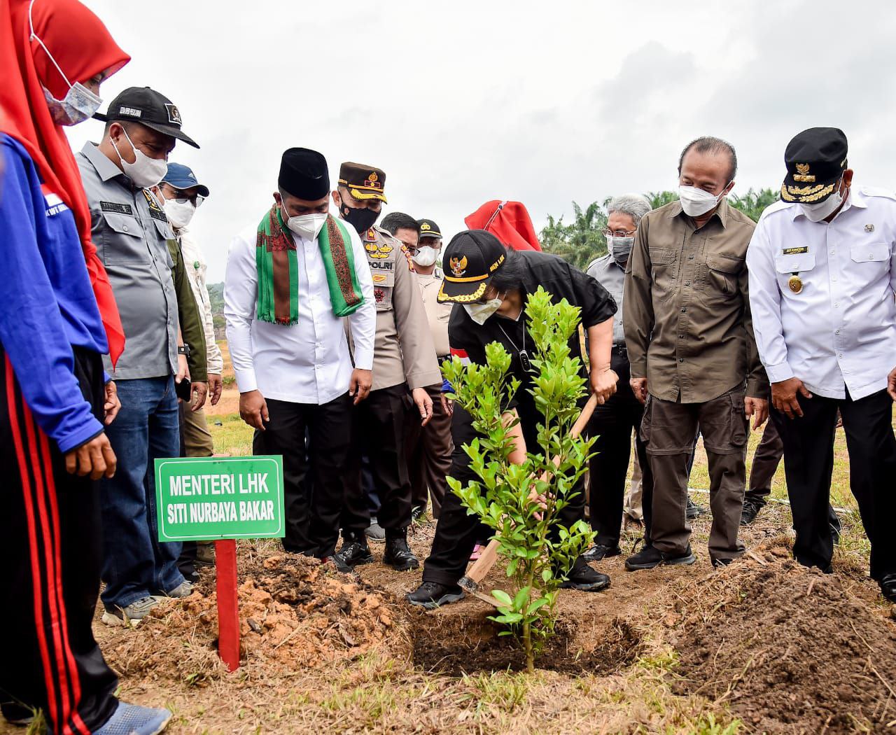 Hari Ibu, Menteri LHK Tanam Pohon Buah di Riau