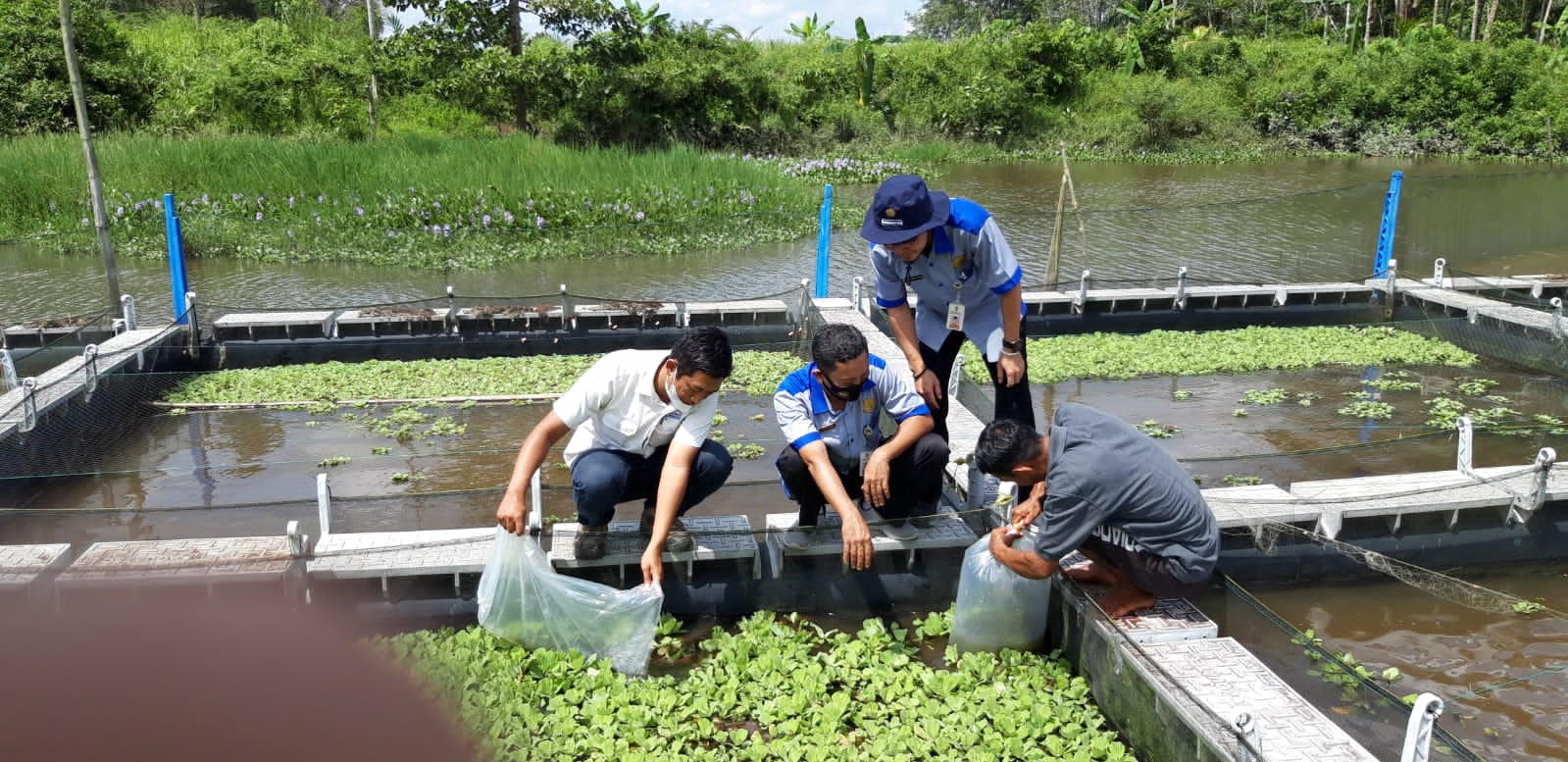 Petani Dibantu Beternak Ikan Untuk Tambah Penghasilan