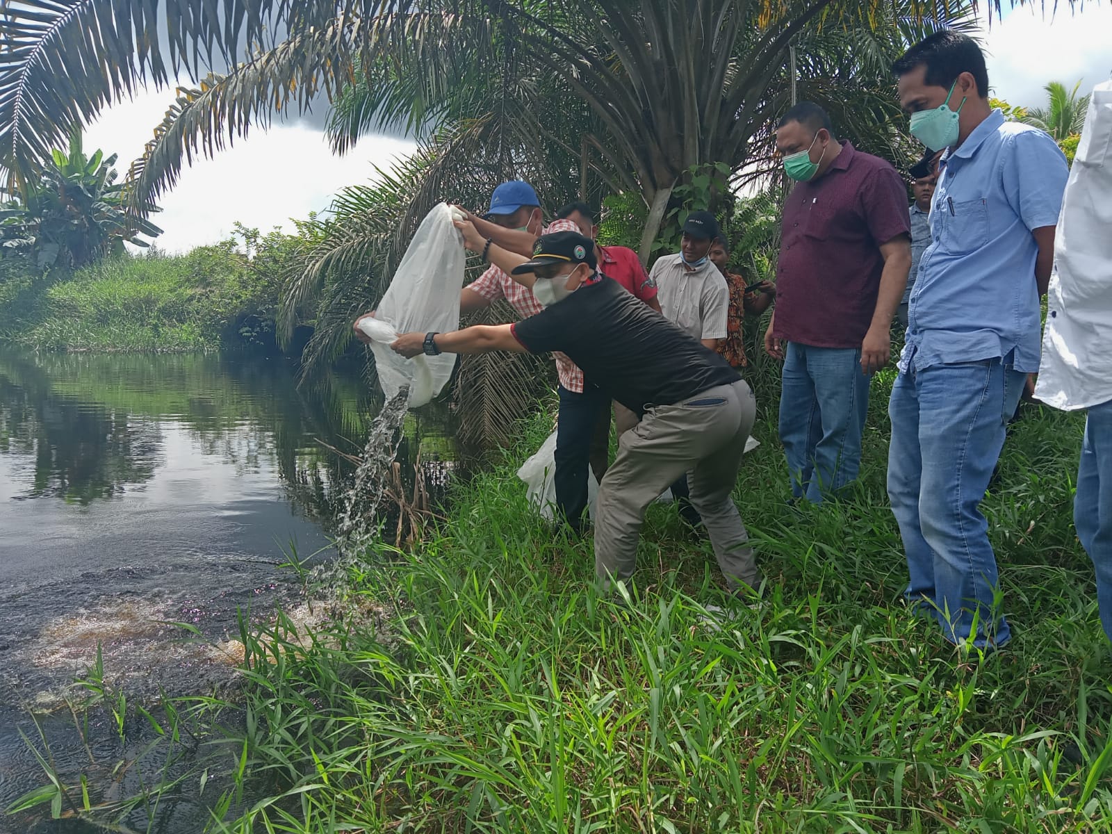 Satu Juta Bibit Ikan Penghuni Baru Sungai di Riau