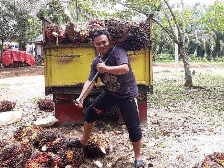 Perbaikan Jalan Kebun Diyakini Akan Dongkrak Ekonomi Petani