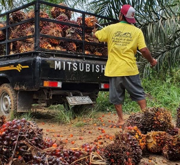 Kendala PSR di Kalimantan Timur Bikin Geregetan