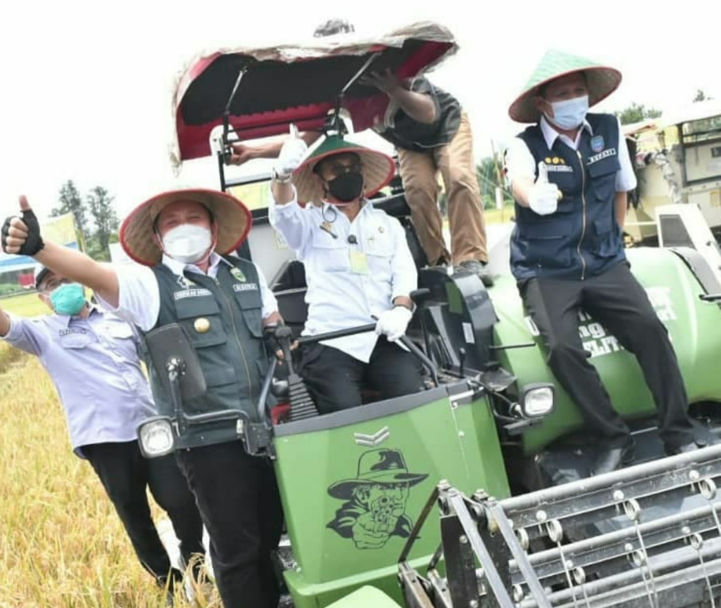 Nilai Tukar Petani Naik Lagi, Menteri SYL: Kado Awal Tahun