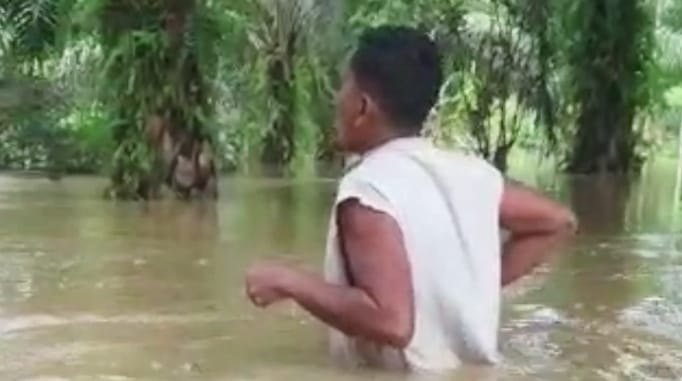 Perusahaan Sawit Diminta Peduli Korban Banjir