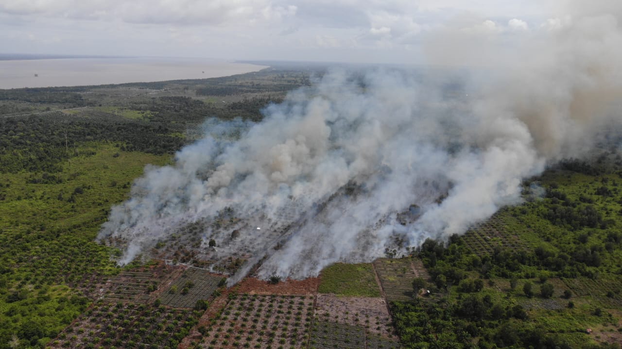 Dua Hektare Kebun Sawit kembali Terbakar di Siak