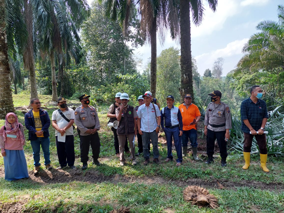 Kebun Sawitnya Dieksekusi Pengadilan, Petani Justru Bahagia