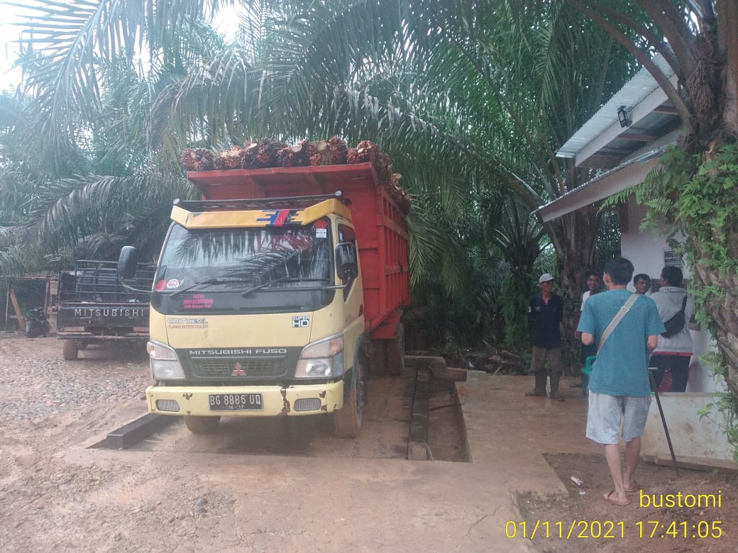 Harga Bersaing, Petani Merasa Tak Rugi Jual TBS ke Ram