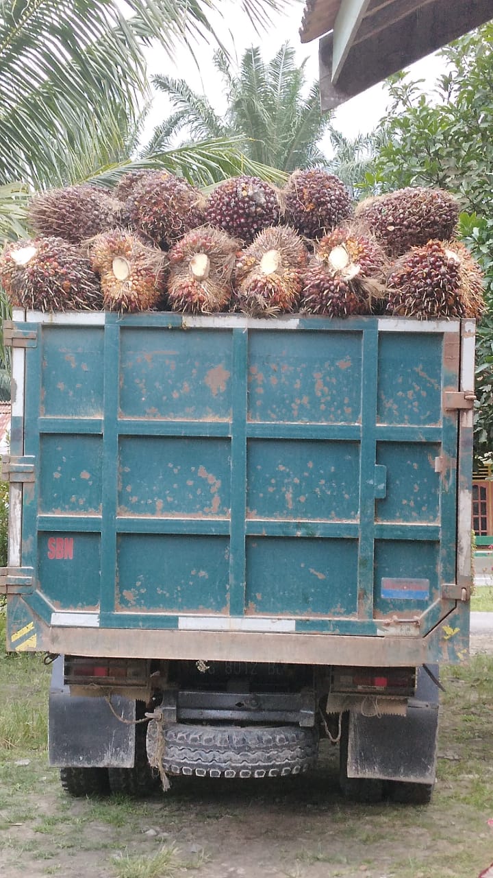 Ajukan PSR karena Takut Keburu Ganti Presiden