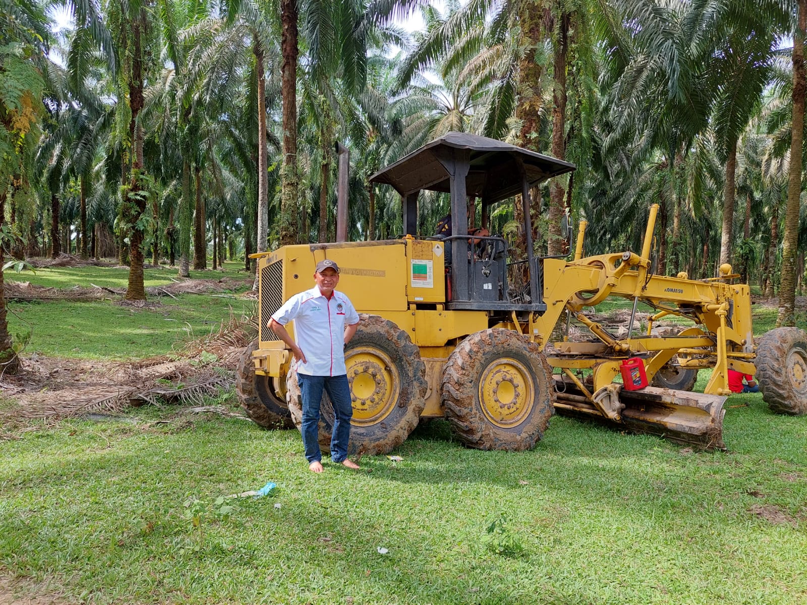 Petani Sawit Ini Girang Gubsu Ikut Campur Masalah PSR