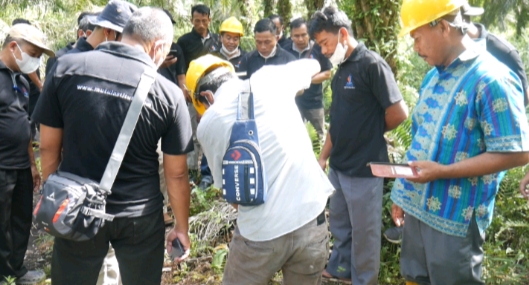 Tak Menyerah Berkebun Sawit di Lahan Gambut