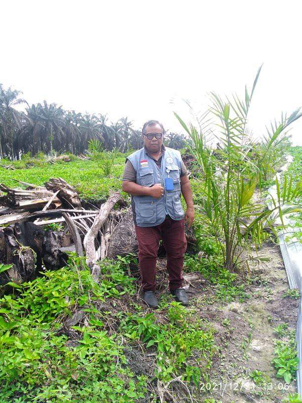 Petani Sawit Musti Mampu Bersaing