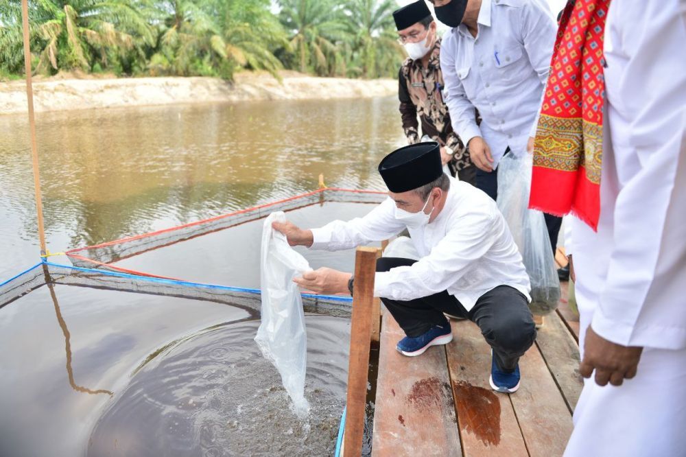 Gubernur Riau Tawarkan Bisnis Ikan Patin ke Arab Saudi