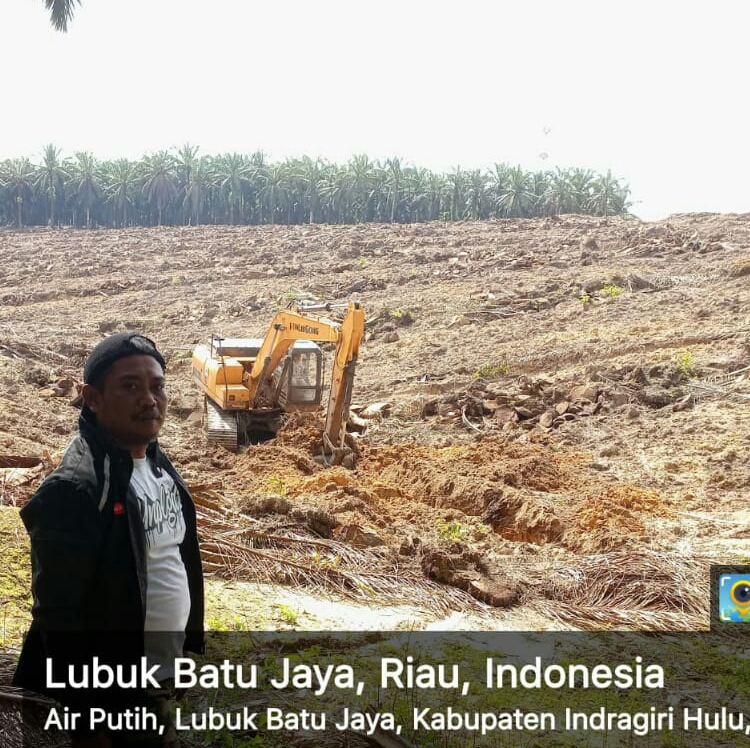 Disbun Riau Gamang Jalankan Aturan Baru PSR, ini Sebabnya