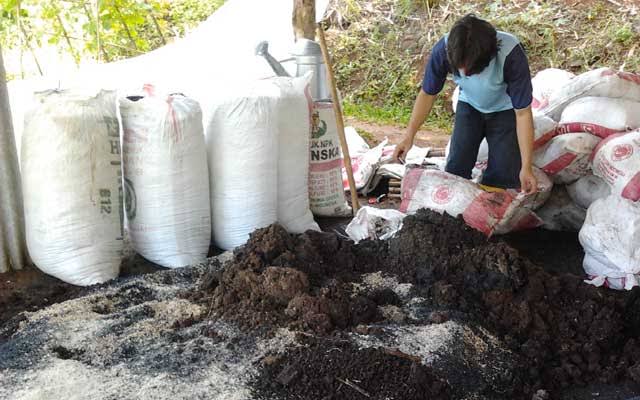 Pupuk Kimia Mahal, Pakai Pupuk Organik Saja!