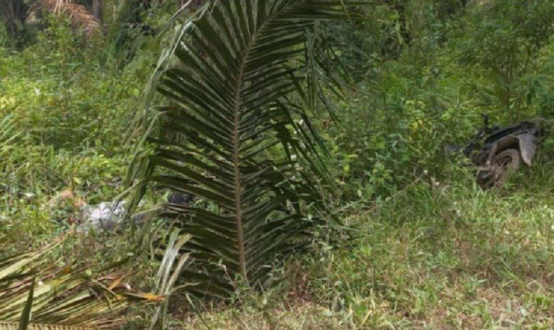 Kasus Mayat Wanita di Kebun Sawit, Ternyata Pelakunya Sang Pacar