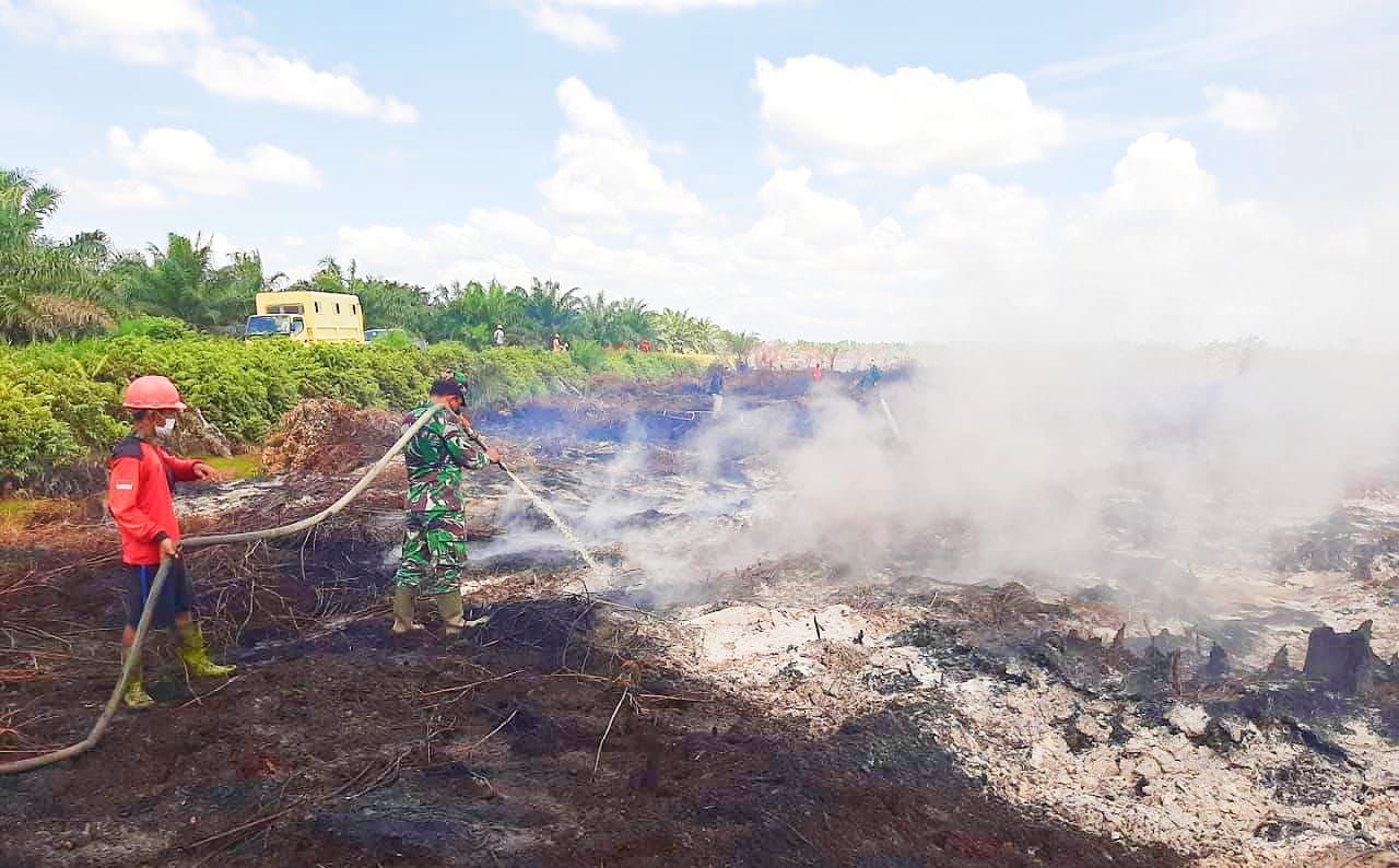 20 Hektar Lahan Gambut Terbakar Dekati Sawit, Petugas Lakukan Ini