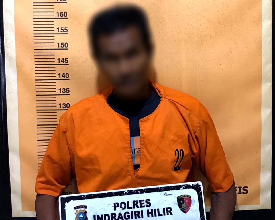 Buka Lahan untuk Tanam Sawit, Petani Inhil Ditangkap Polisi