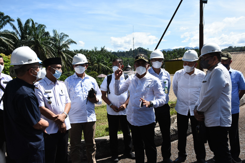 Punya Belasan Ribu Ha Kebun Sawit tapi Tak Terawat