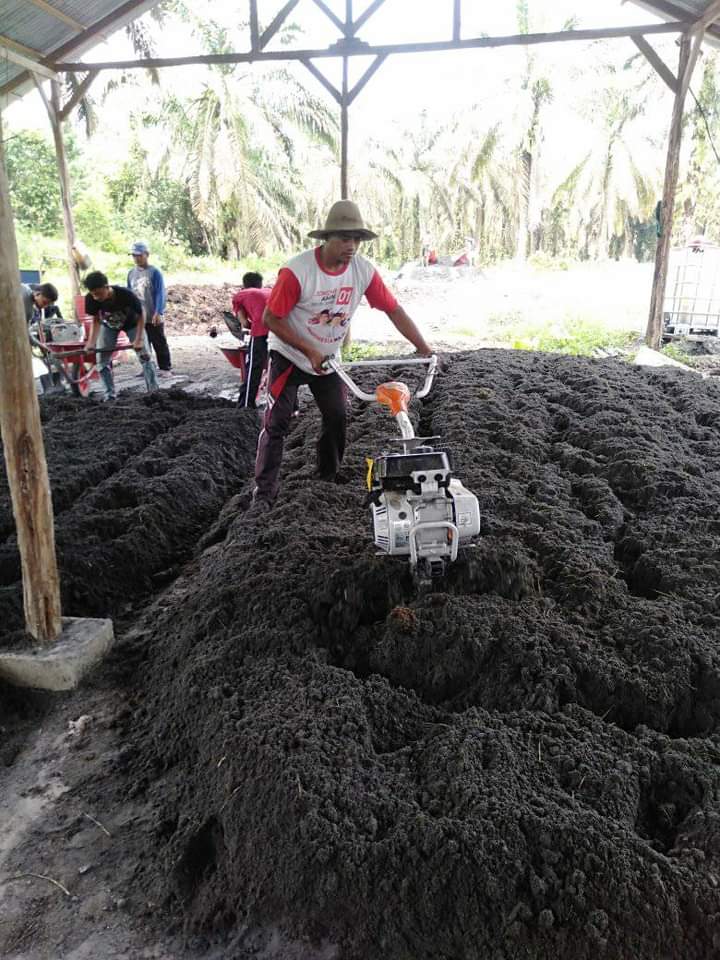 Petani Sawit Belum Mau Pakai Kompos Buatan Lokal, ini Sebabnya