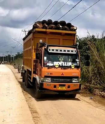 Perbaikan Jalan Bikin Tangki CPO Penuh, PKS Tolak TBS Petani